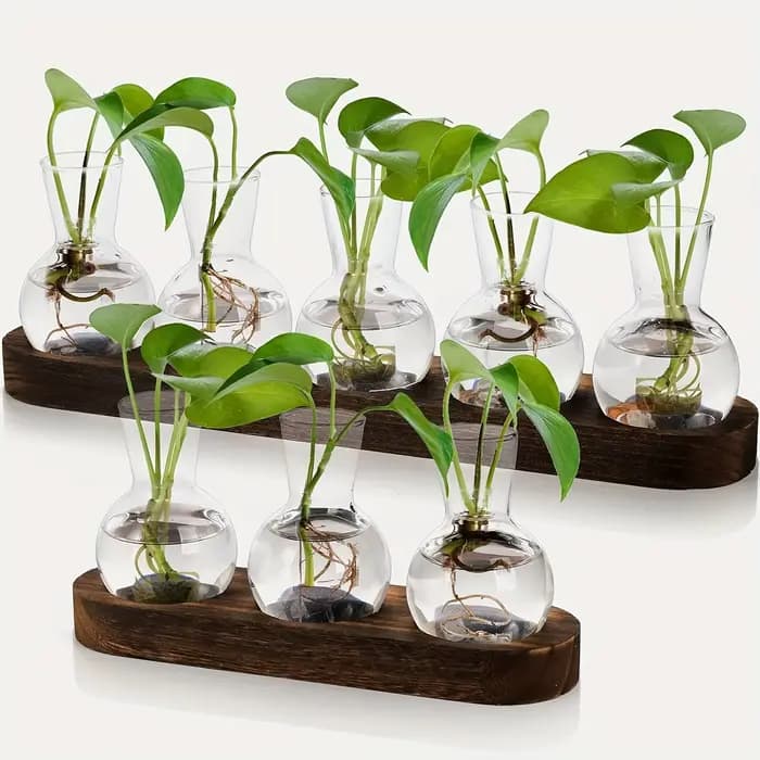 Vase en verre pour Terrarium de plantes