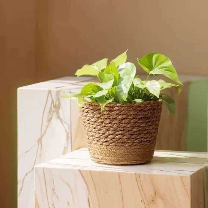 1 pièces pour Terraces de jardin Pot de fleur panier de jardinière rotin paille herbe tissé Pot de fleurs Mini/S/M/L décoration de meubles