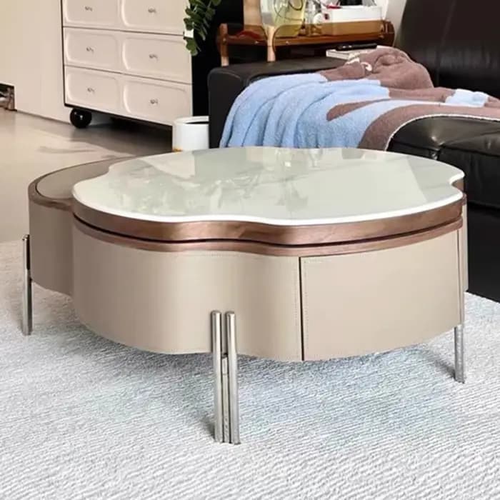 Table basse De rangement multifonctionnelle