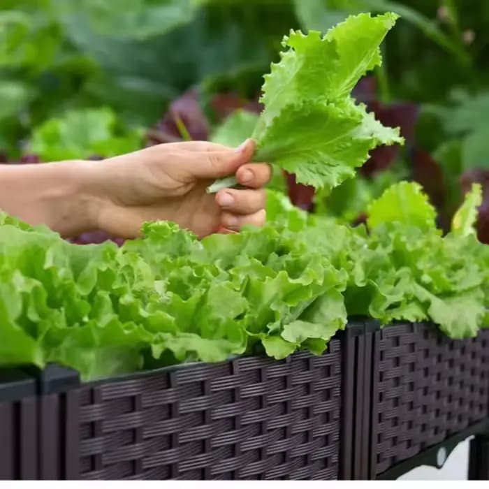 Boîte de jardinières à arrosage automatique
