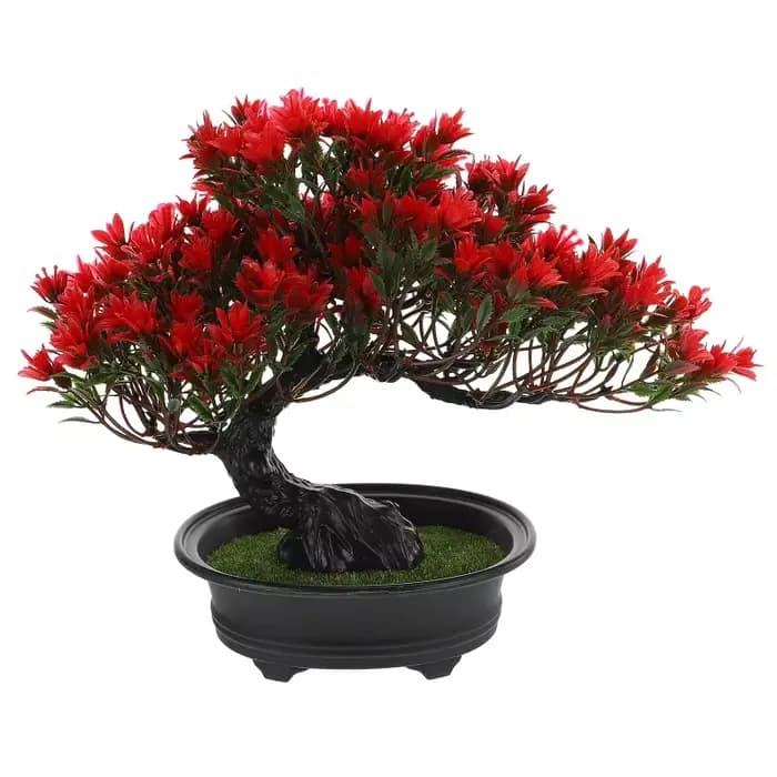 Bonsaï réaliste en pin rouge