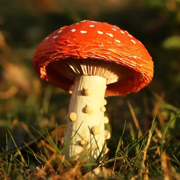 Ornements de jardin extérieurs transfrontaliers