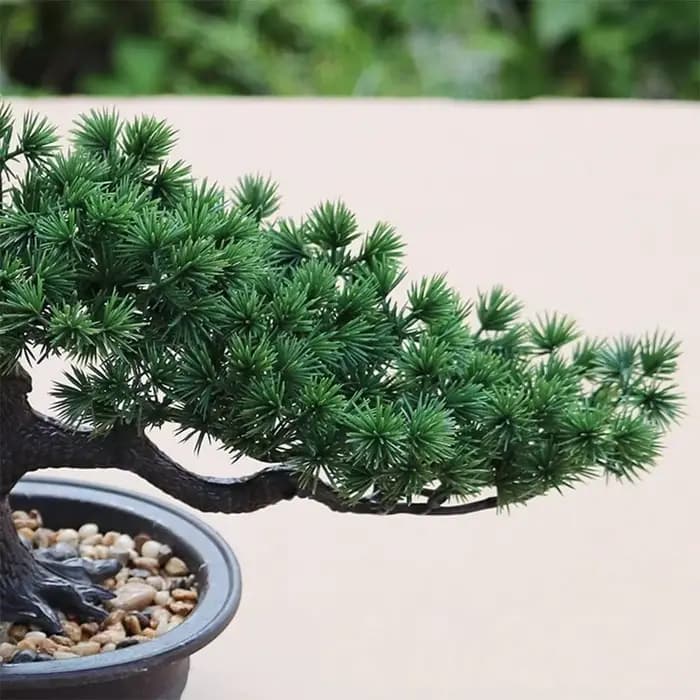 Plante Bonsaï Artificielle en Pot