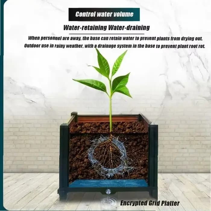 Jardinière Spéciale pour Cultiver les Légumes – Grande Taille