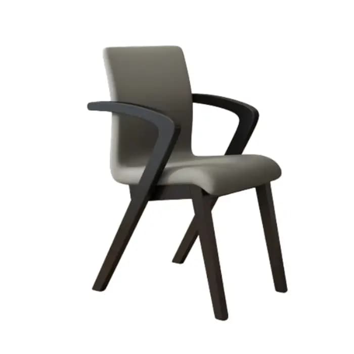 Accoudoir Chaises de salle à manger de luxe cuisine à la mode européenne