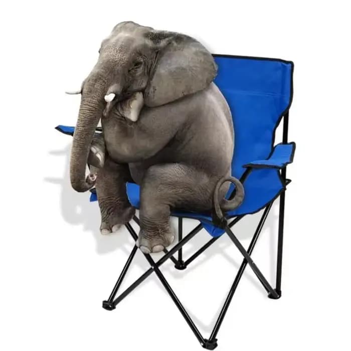 Chaise de camping pliante portable avec sac de transport pour adultes