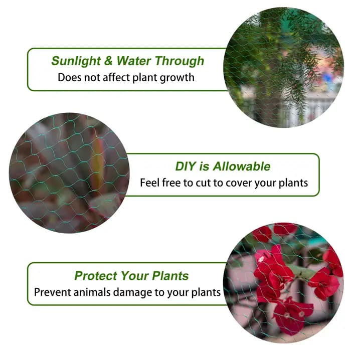 Filet de protection pour jardin contre les oiseaux et les ravageurs