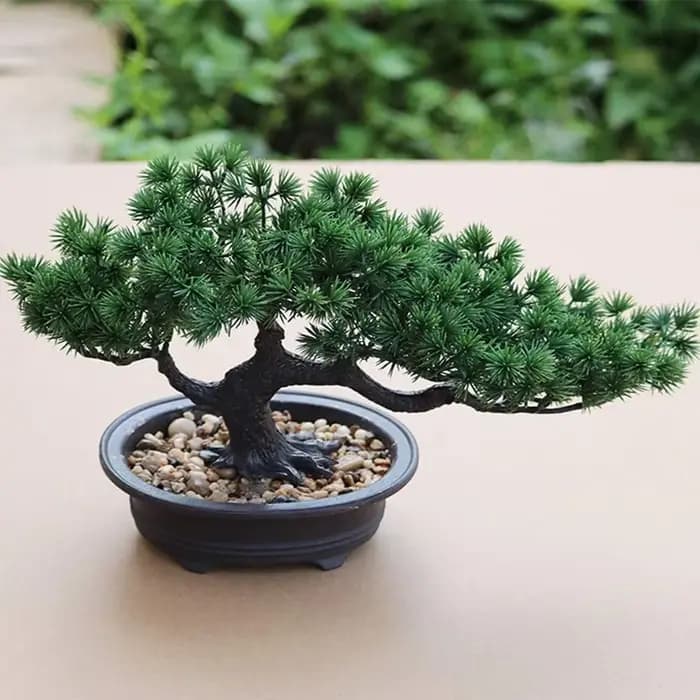 Plante Bonsaï Artificielle en Pot