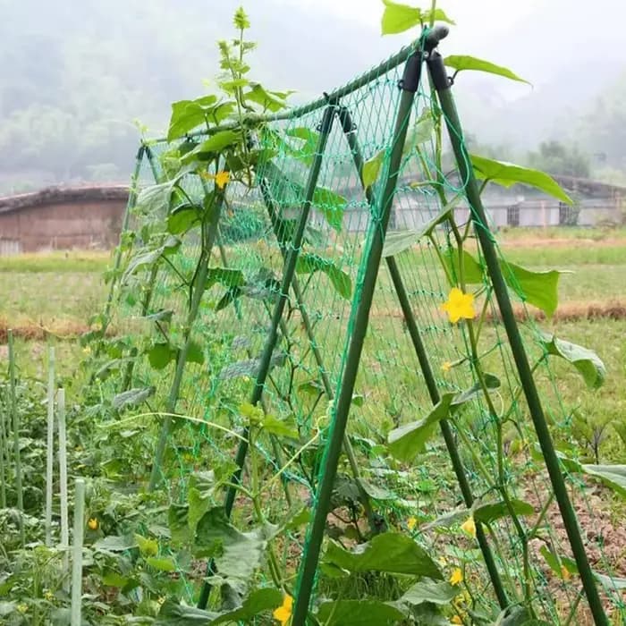 Filet en treillis robuste pour plantes grimpantes