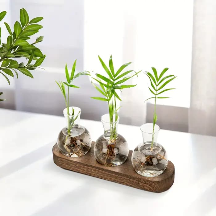 Vase en verre pour Terrarium de plantes