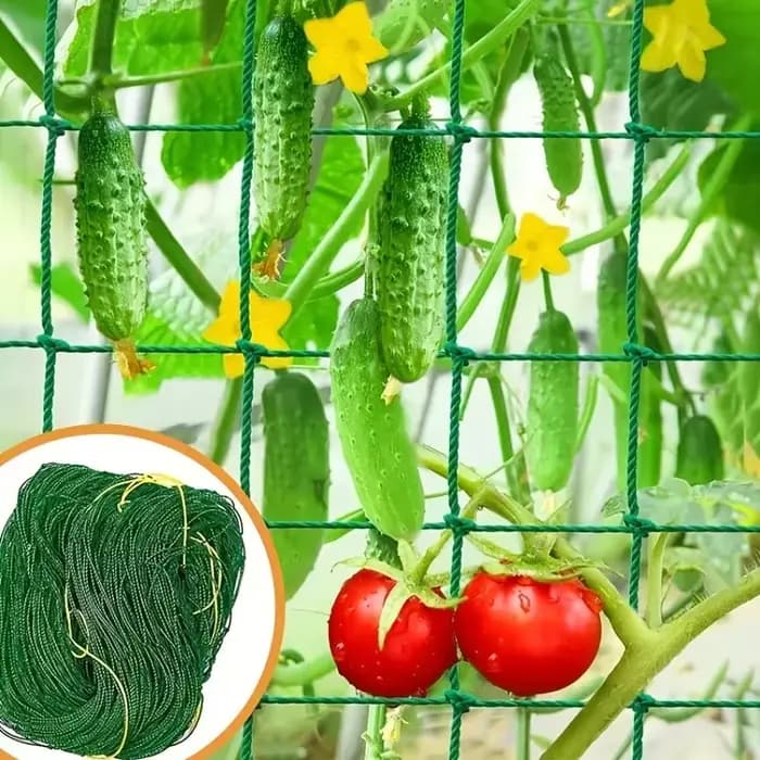 Pergolas pour plantes, filet de culture en polyester robuste