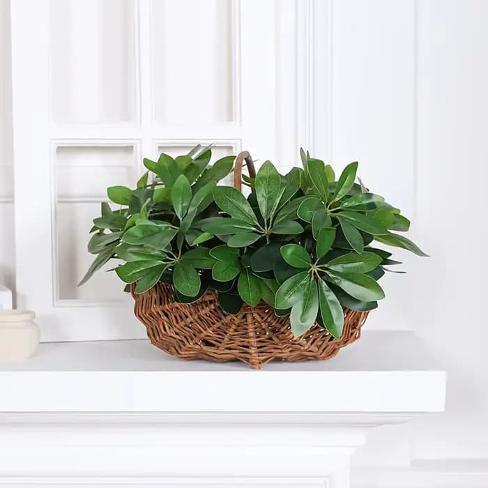 Plante artificielle | Feuilles artificielles avec tige, idéales pour la décoration du salon, de l'hôtel, de la fenêtre, du bureau, de la maison et de la chambre
