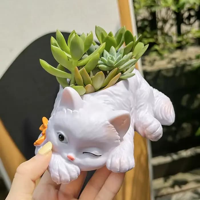 Pot de fleurs succulentes chat mignon, plantes vertes de balcon, salon, maison, bureau, plante en pot, décoration de la maison