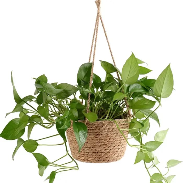 Jardinière suspendue en macramé