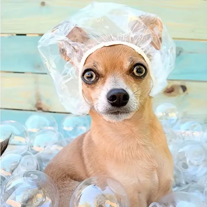 Lot de 100 bonnets jetables, pour salon de beauté, hôtel, coloration capillaire, bonnet de douche imperméable, bonnet pour coloration, anti-poussière et préservant la fraîcheur