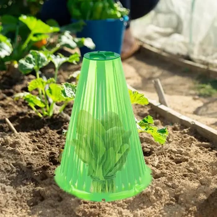 Cloche transparente Everche de jardin avec couvercle d'aération