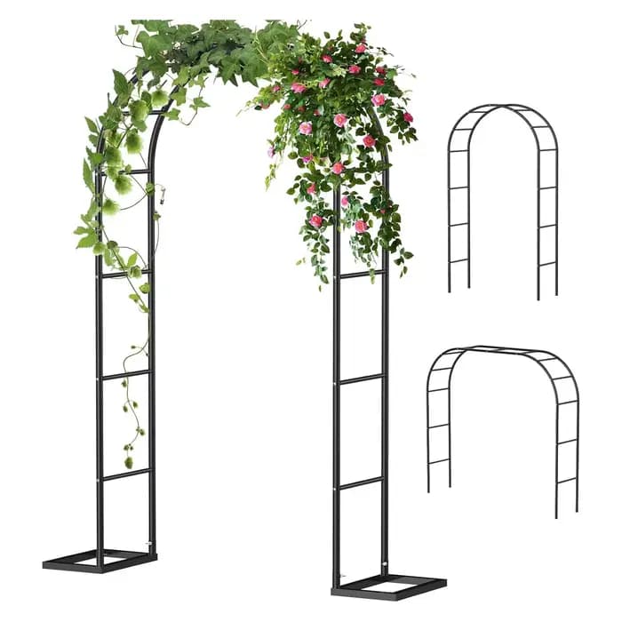 Arche de jardin en métal robuste en fer forgé