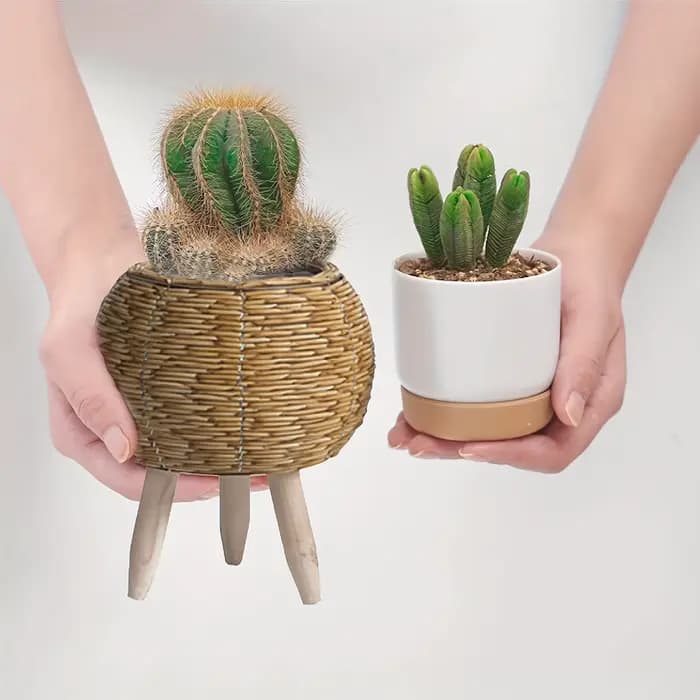 Charmante jardinière en rotin rustique avec pieds en bois