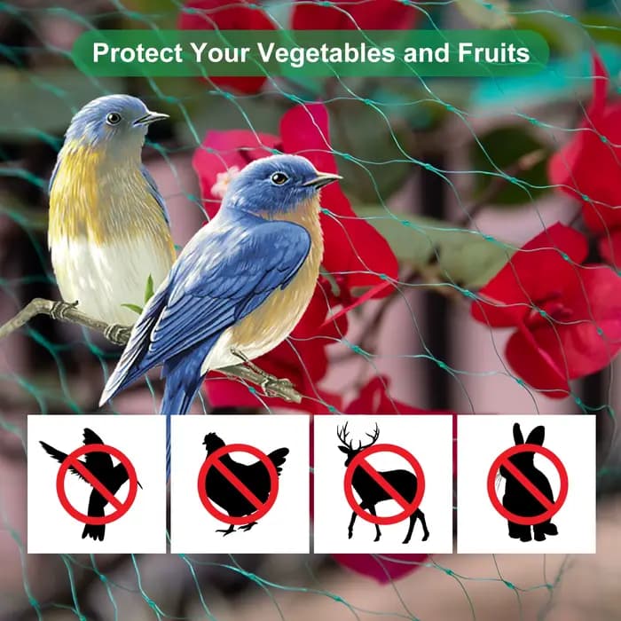 Filet de protection pour jardin contre les oiseaux et les ravageurs