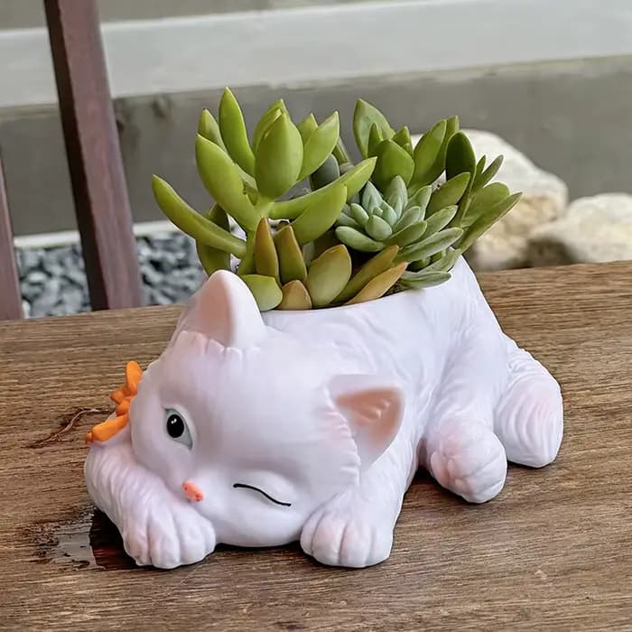Pot de fleurs succulentes chat mignon, plantes vertes de balcon, salon, maison, bureau, plante en pot, décoration de la maison