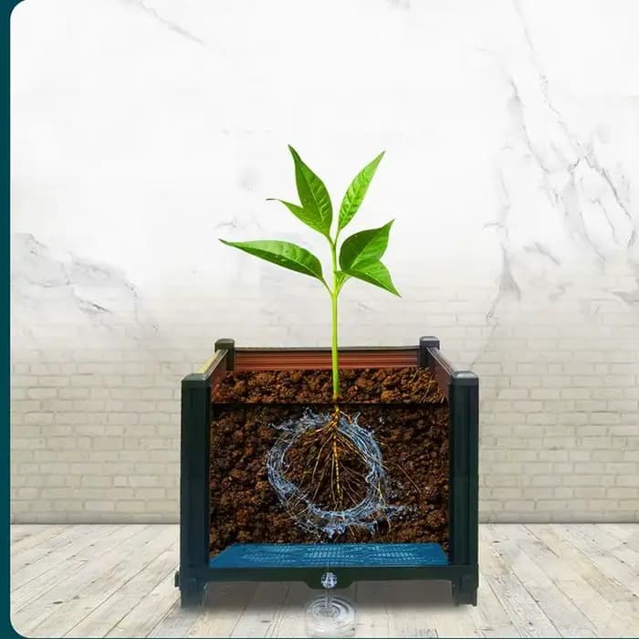 Grand bac de plantation pour légumes