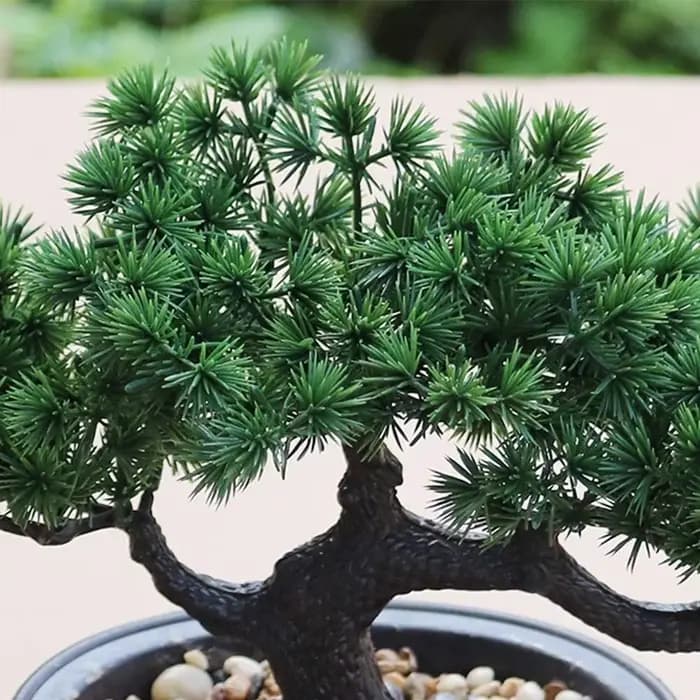 Plante Bonsaï Artificielle en Pot
