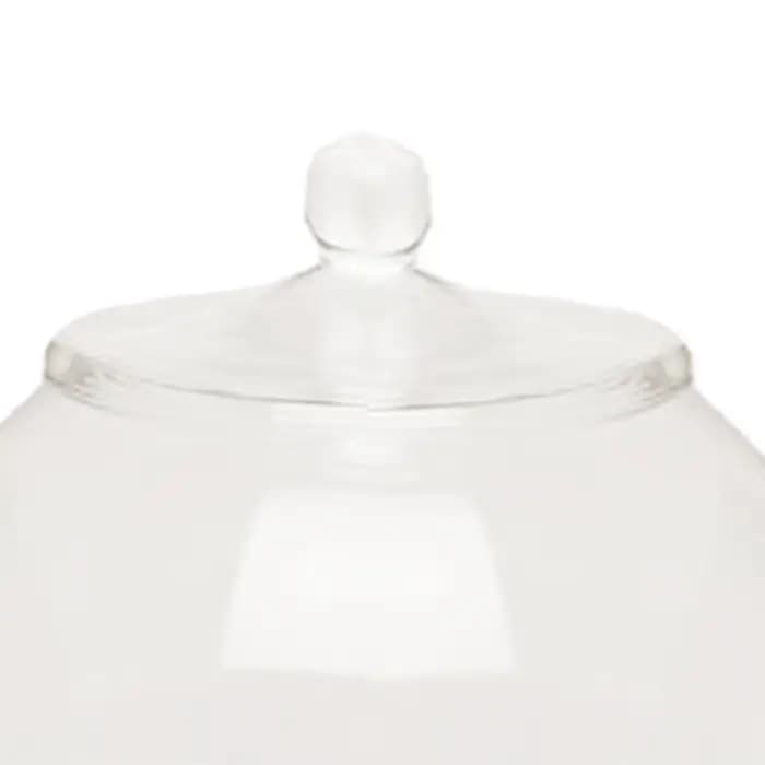 Pot de terrarium en verre scellé