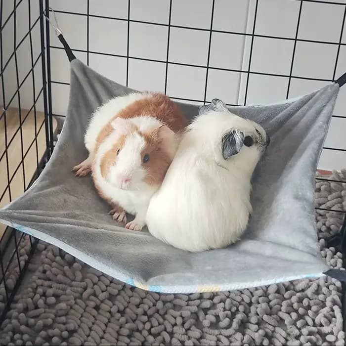 Hamac Double face cochon d'inde hamac d'été respirant avec fronde hamac pour animaux de compagnie produits pour animaux de compagnie équipement accessoire pour petits animaux de compagnie