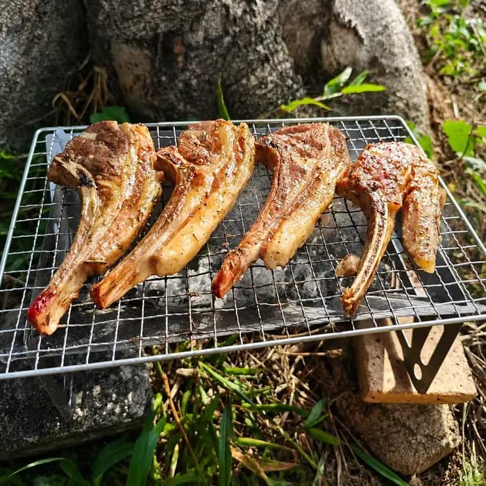Barbecue au charbon de bois pliable pour le camping