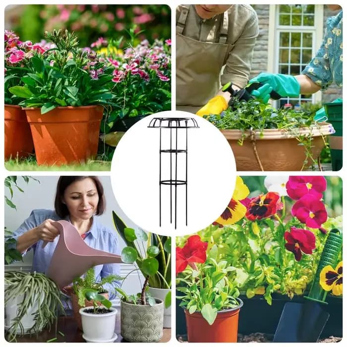 Treillis de fleurs pour plantes grimpantes