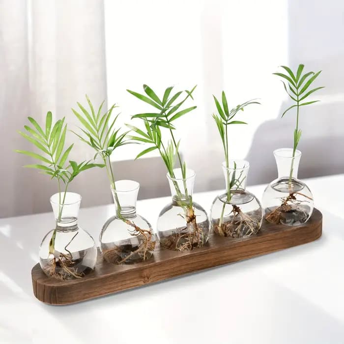 Vase en verre pour Terrarium de plantes