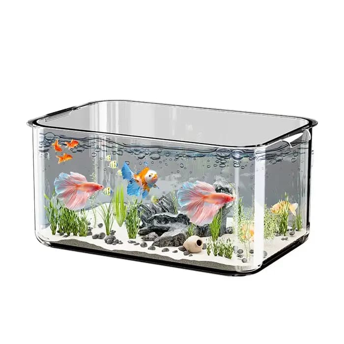 Aquarium de bureau moderne et minimaliste, transparent, pour poissons rouges, avec plantes et paysage miniature, idéal pour salon, bureau et maison.