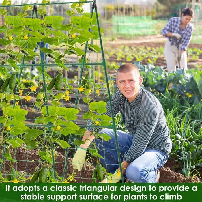 Treillis de concombre, cadre A pour légumes de jardin