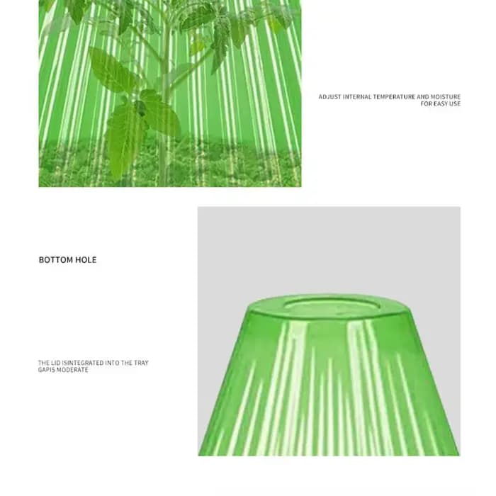 Cloche transparente Everche de jardin avec couvercle d'aération