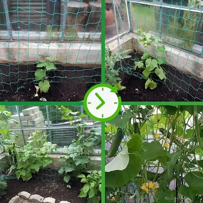 Pergolas pour plantes, filet de culture en polyester robuste