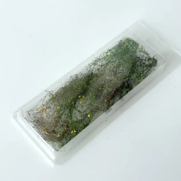 1 Pack de Vigne Artificielle, Vigne Miniature de Vegetation Statique pour Modèles Réduits de Chemins de Fer, Paysages Ferroviaires, Bases Miniatures et Dioramas