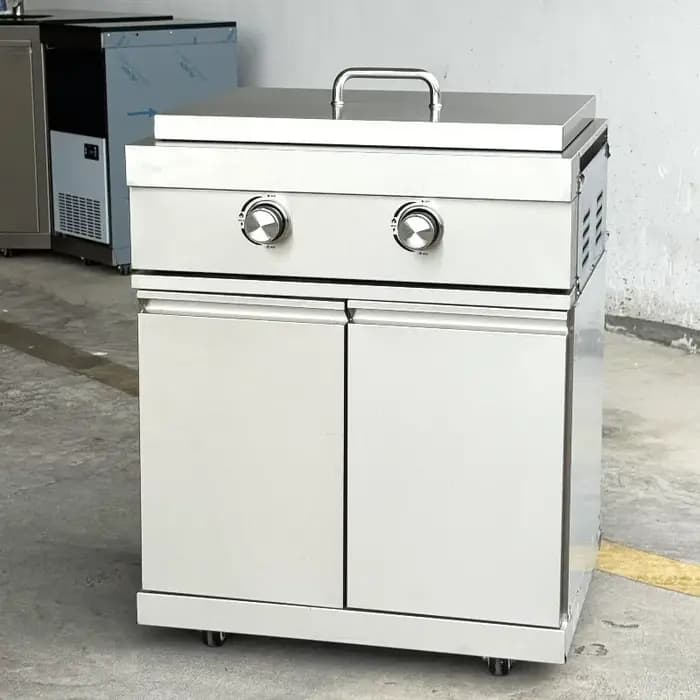 Plaque chauffante à gaz pour barbecue en acier inoxydable à 2 brûleurs pour fêtes, conception sans f