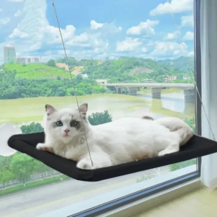 Nouveau hamac pour chat avec capacité de 20 kg