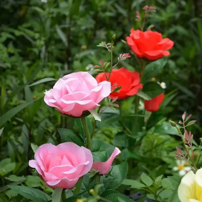 Lampes solaires décoratives extérieures, jardin de pissenlit, fleur de rose, lampe de pelouse pour c