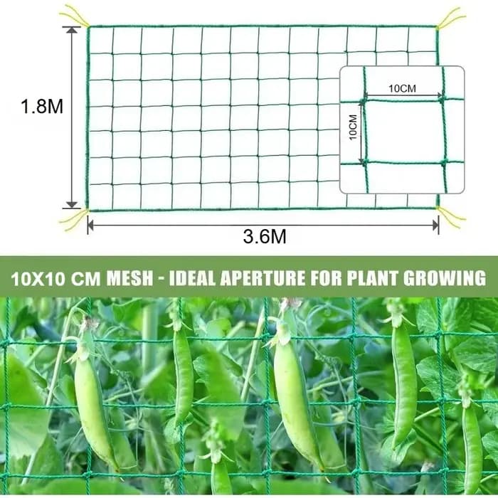 Grillage de treillis robuste pour plantes grimpantes d'extérieur