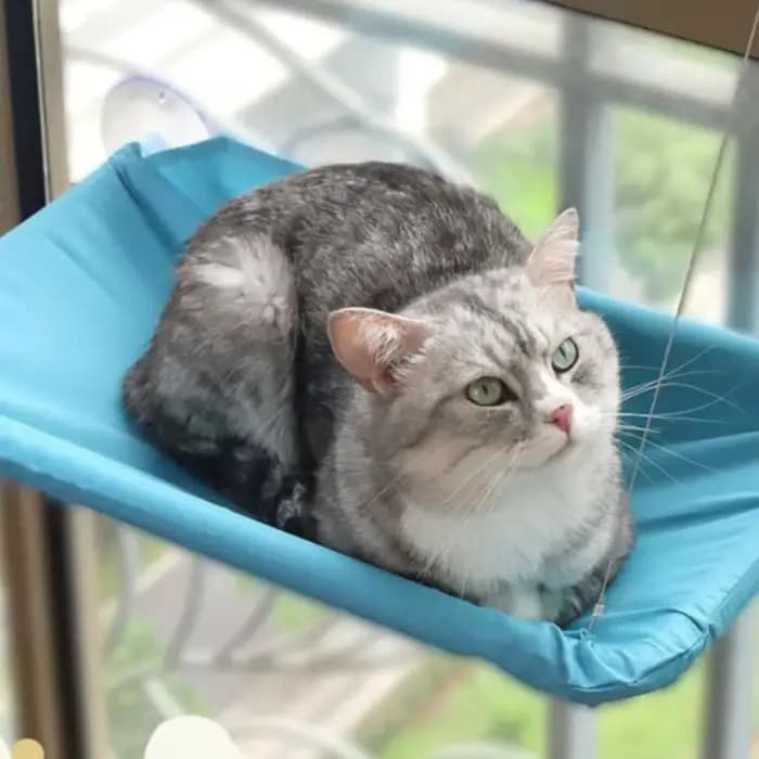 Hamac suspendu pour chat de 20 kg – Confortable
