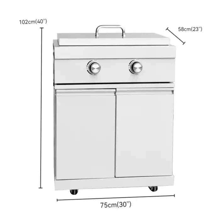 Plaque chauffante à gaz pour barbecue en acier inoxydable à 2 brûleurs pour fêtes